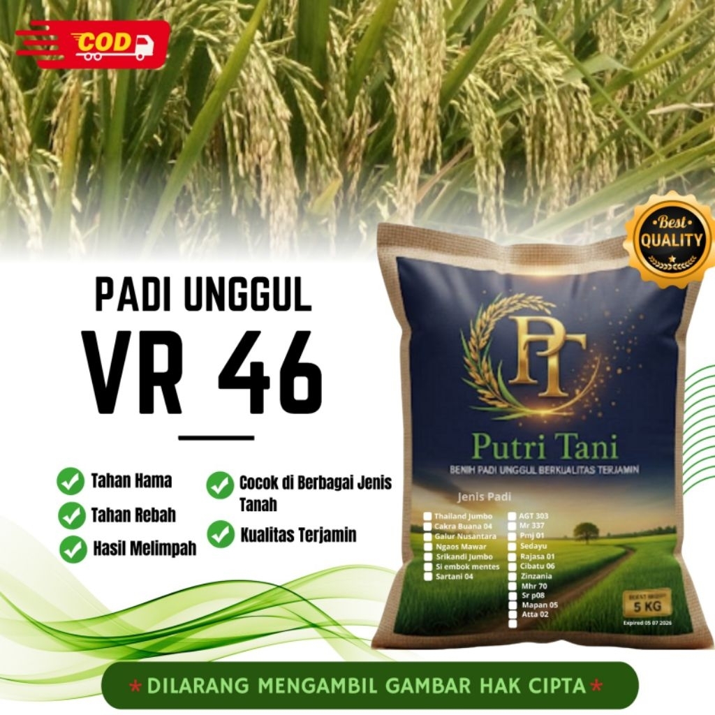 BIBIT PADI VR 46 KEMASAN 5KG