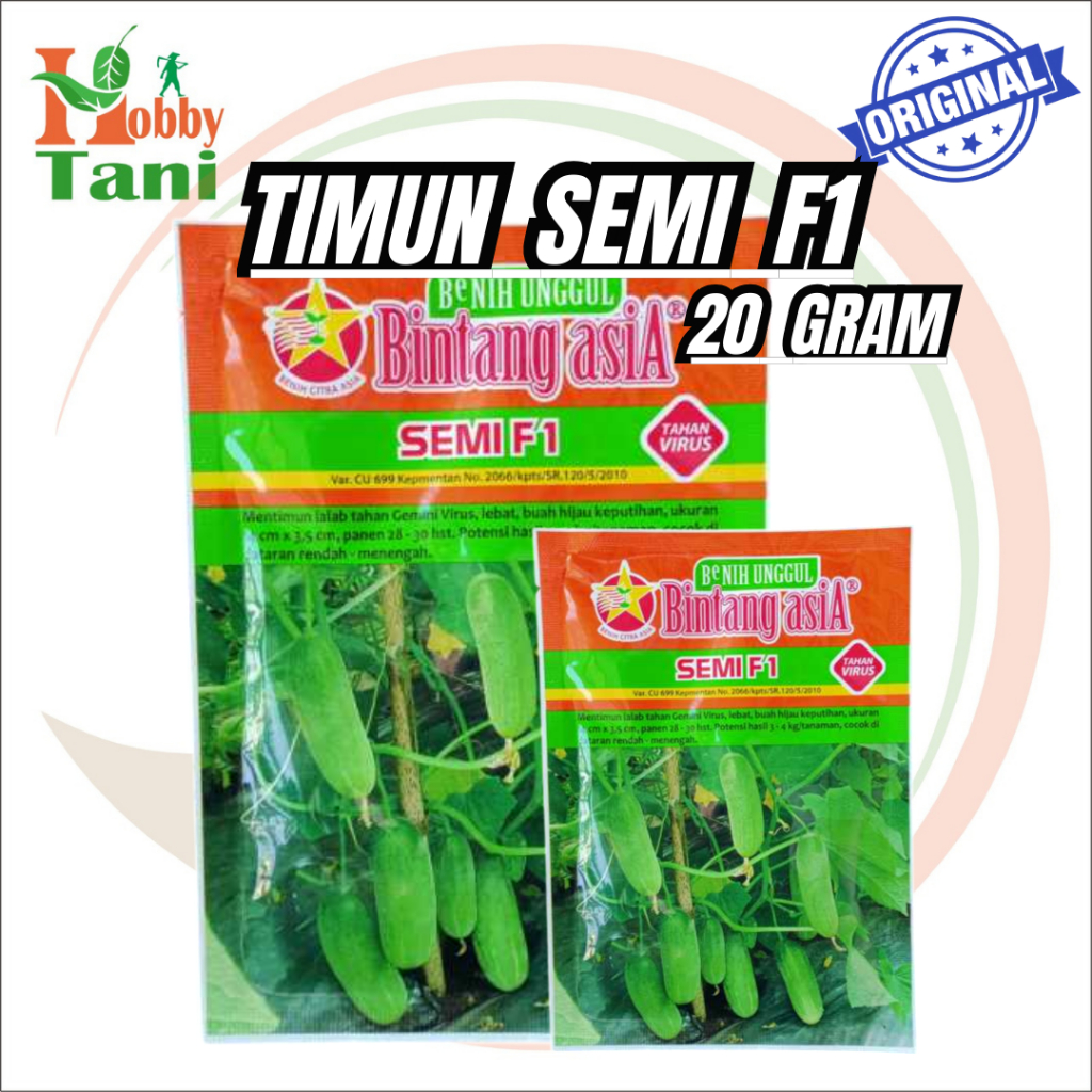 SEMI F1 - Benih timun SEMI F1 (20gr)- Bibit timun baby kecil bintang asia Original