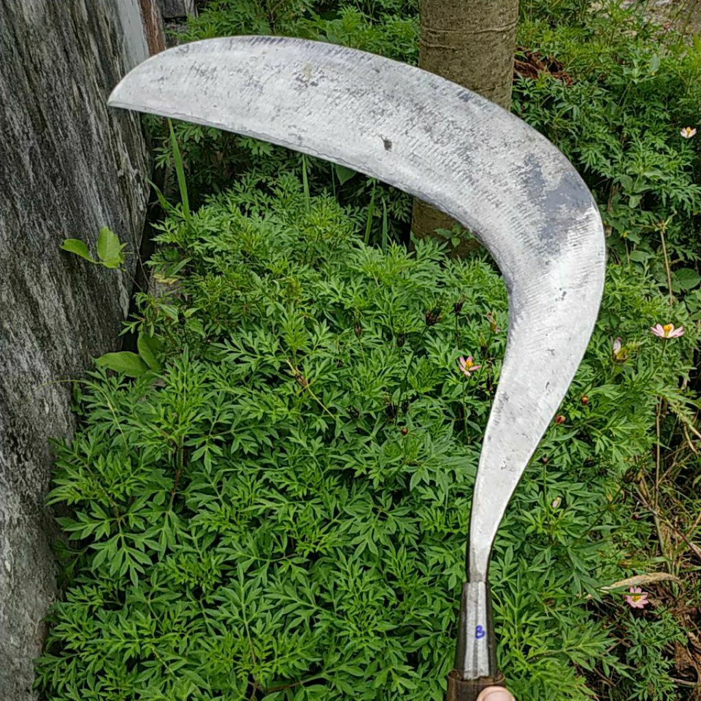 SABIT KHUSUS RUMPUT SUPERAN BAJA ISEN FULL