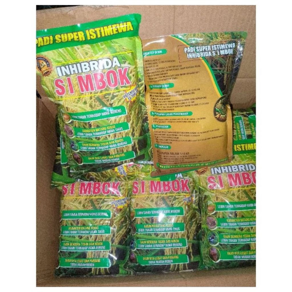 bibit padi simbok in hibrida 1 kg mentes unggul