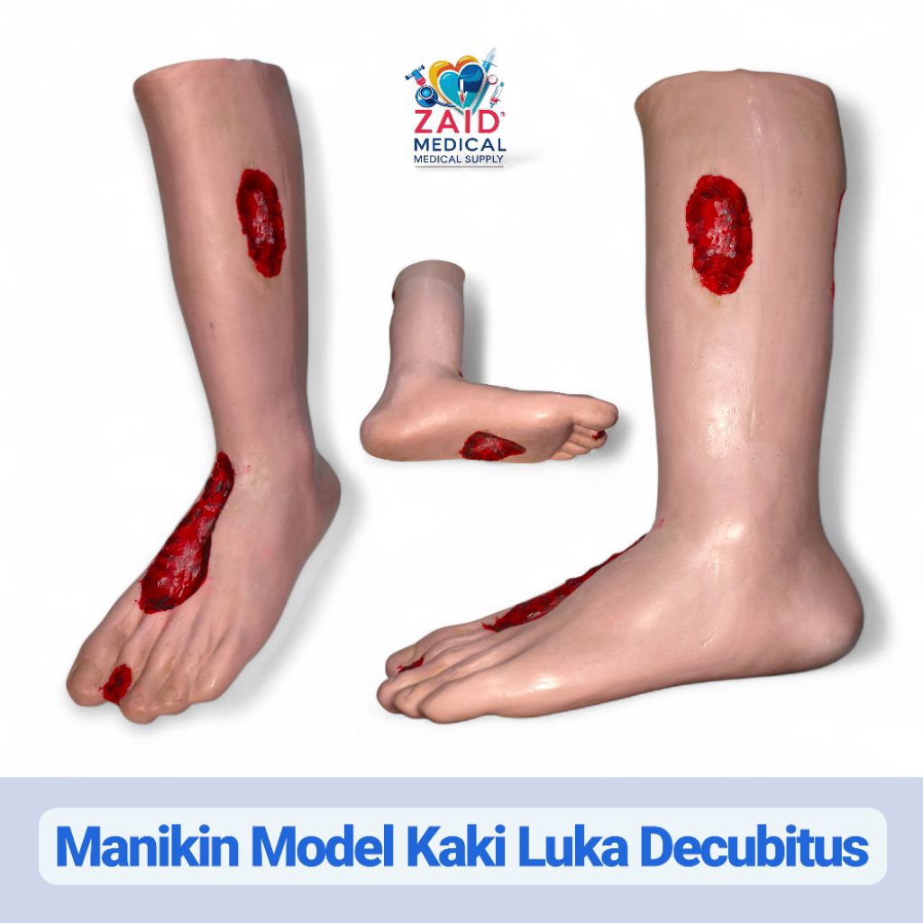 Phantom Manikin Model Kaki Luka Decubitus/ Manikin Kaki Borok Silicon