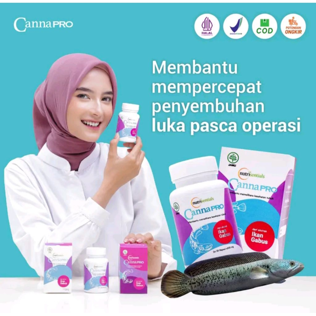 cannaPro kapsul ikan gabus