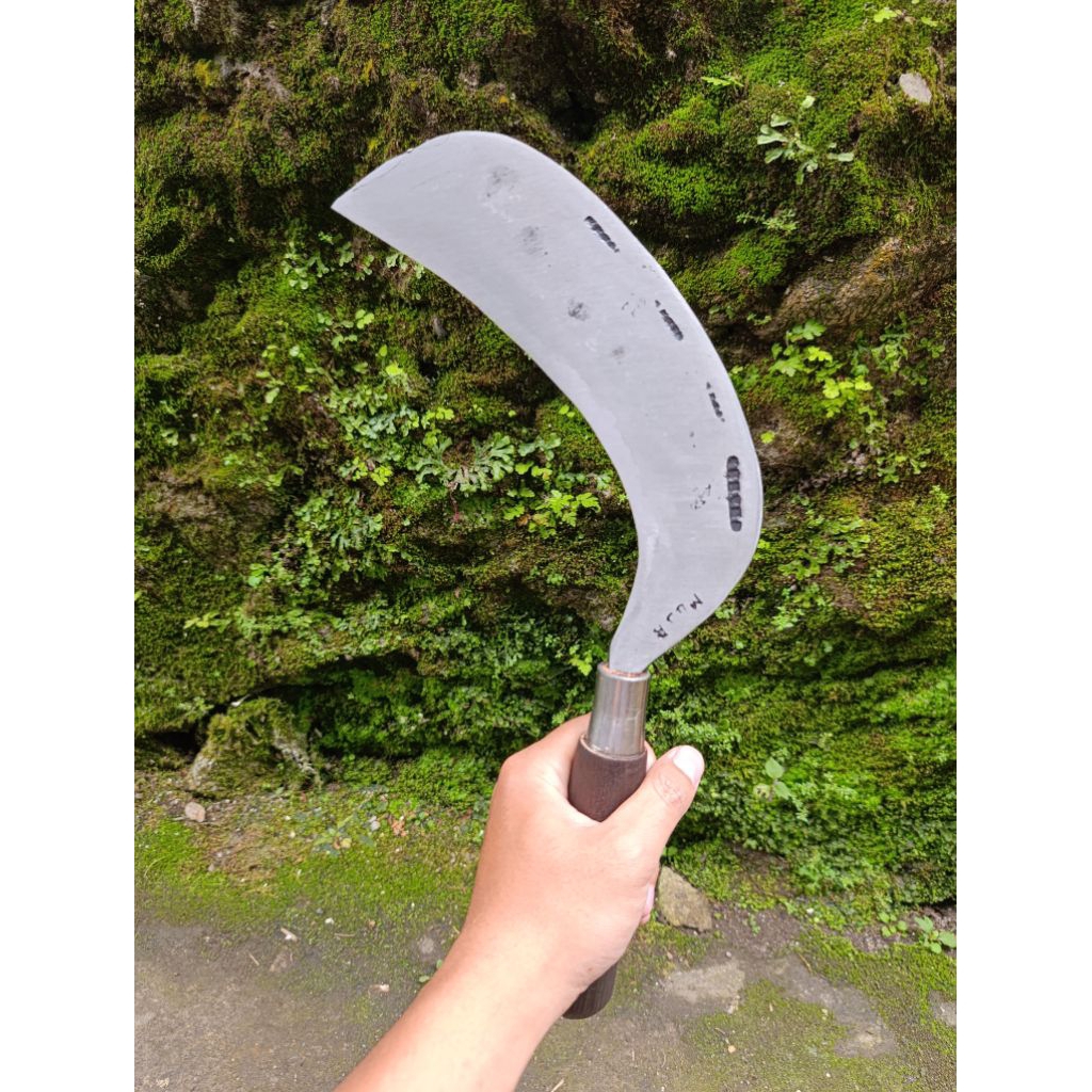 arit deres sadap kelapa premium baja isen wonosobo