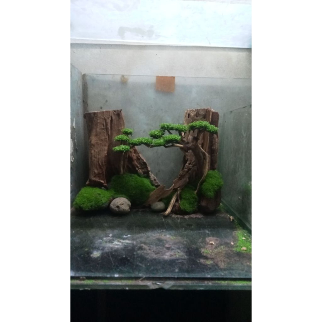 hardscape natural size 40.25.25
