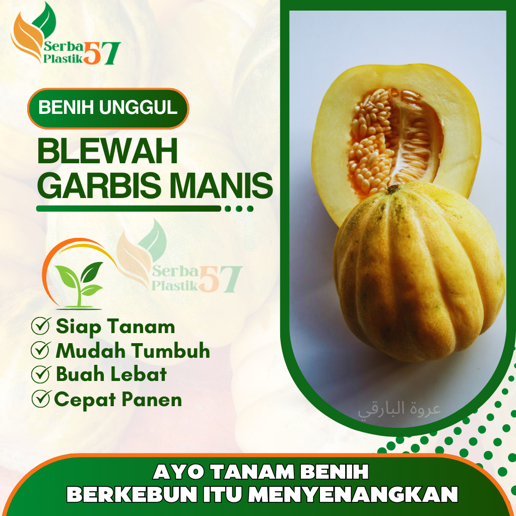 50 Benih Blewah Madu Super Manis / Bibit Unggul Blewah Garbis / Biji blewah Buah lebat