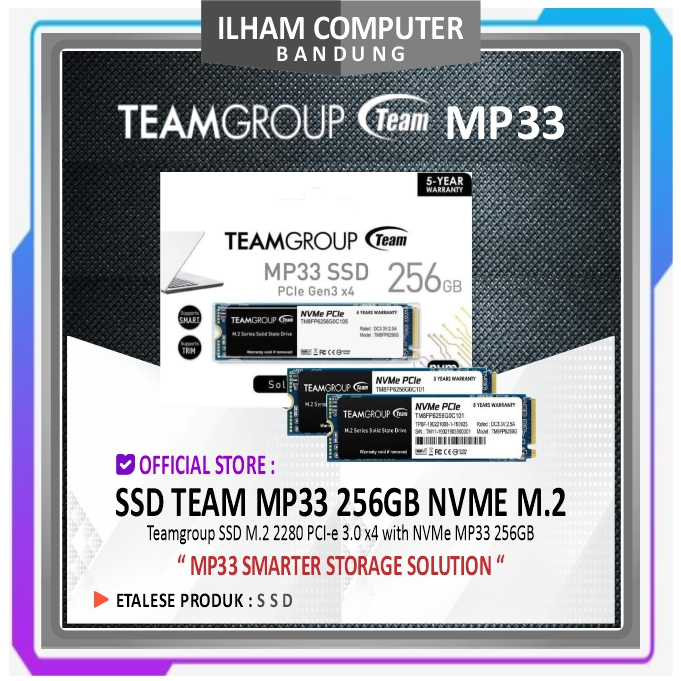 Team MP33 SSD NVMe M.2 / M2 256 GB - NVMe 256GB