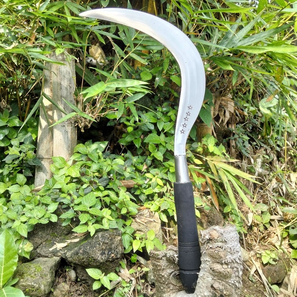 sabit rumput dan ranting ranting tebel asli madura