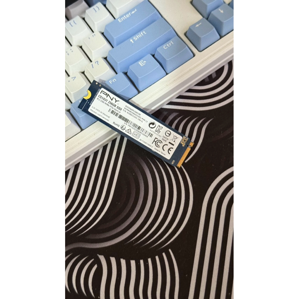 ssd pny 256gb gen3x4