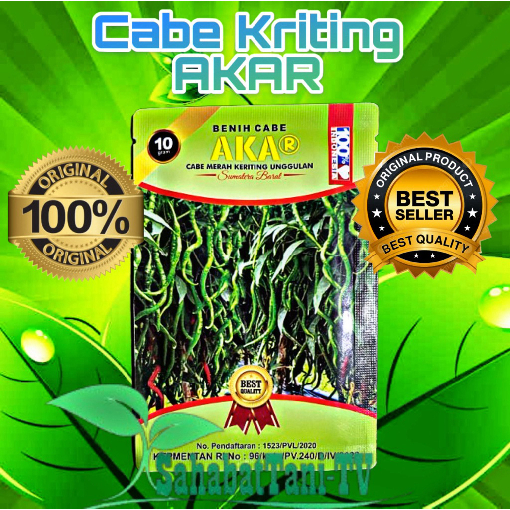 Cabe Kriting AKAR 10 gram ,Cabe merah Kriting unggulan varietas benih cabai unggulan yang terkenal k