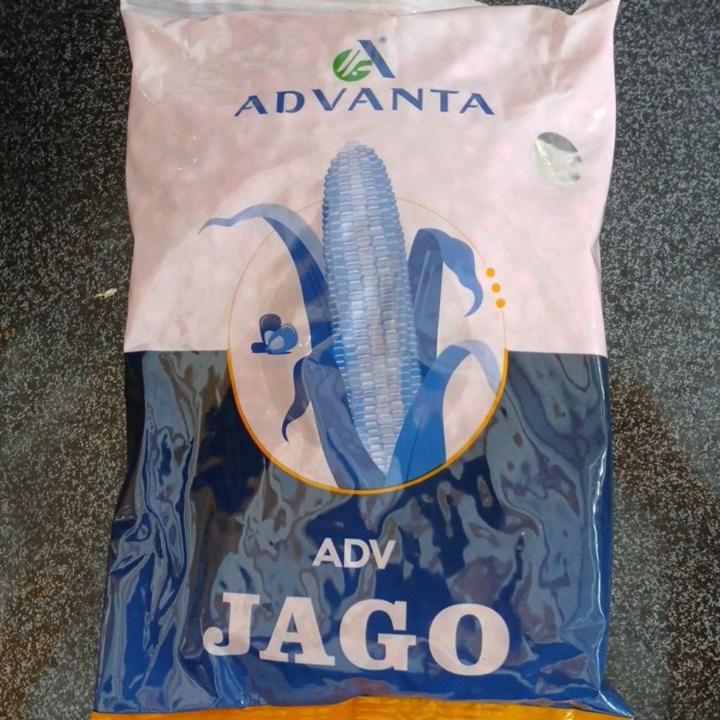 Benih Jagung Hibrida Advanta Jago 1kg/Benih Jagung 1kg/Benih jagung Advanta