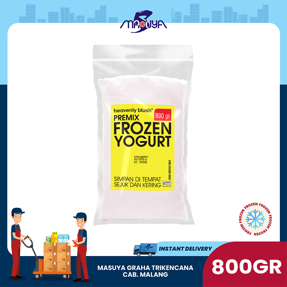 HB Premix Frozen Yogurt Strawberry 800GR HNI099