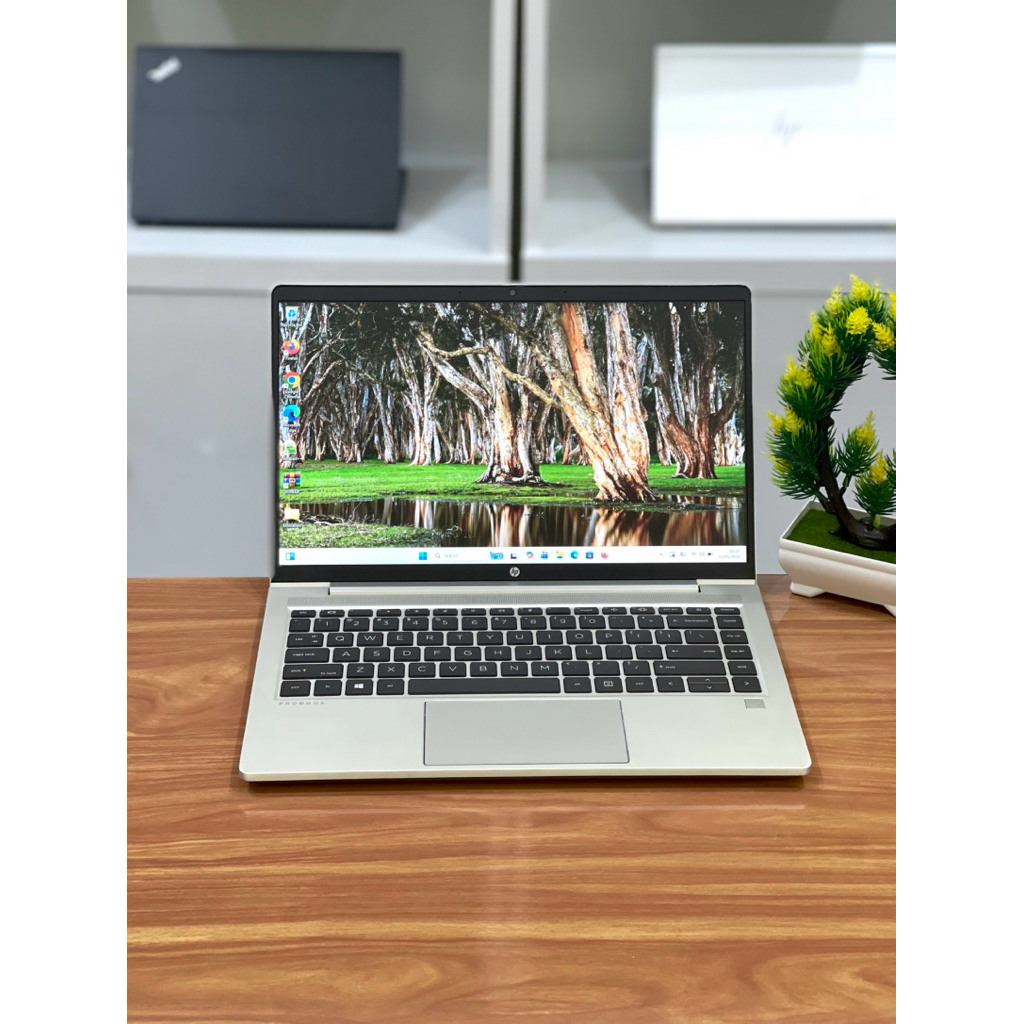 Laptop Hp Probook 445 G8 Amd RYZEN 5 5600U Ram 8 Gb SSD 256 Gb Like New