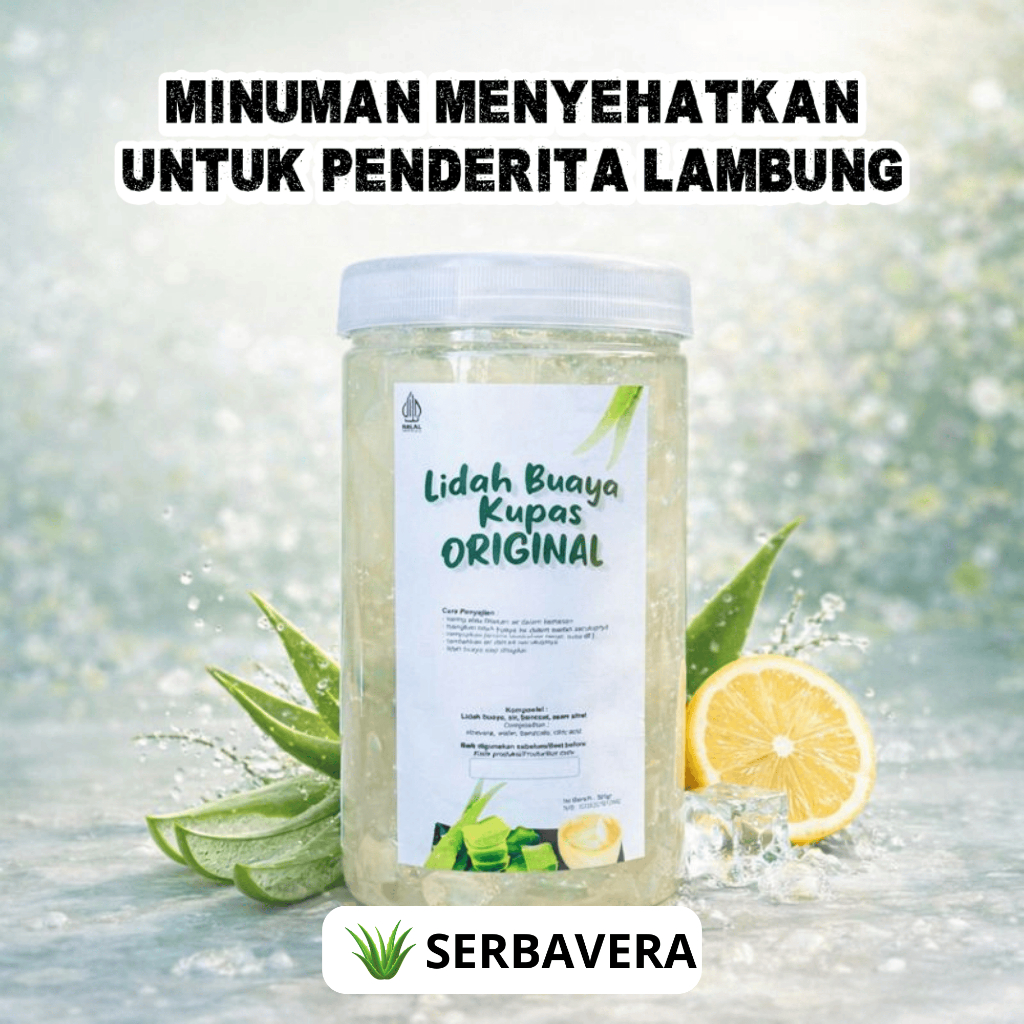 LIDAH BUAYA KUPAS 500gr | Aloevera Gel Organik @serbavera