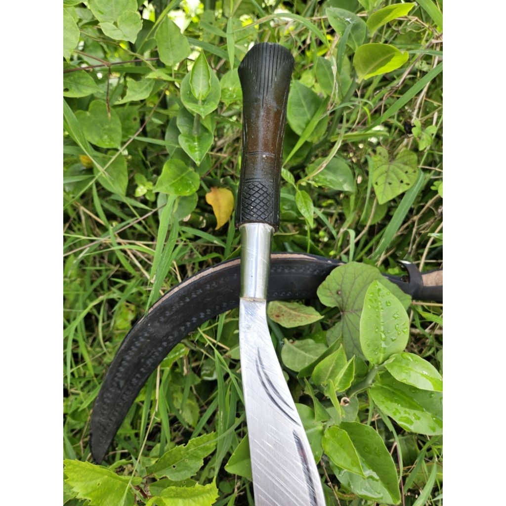 Arit multifungsi asli madura 55cm lengkap sarung