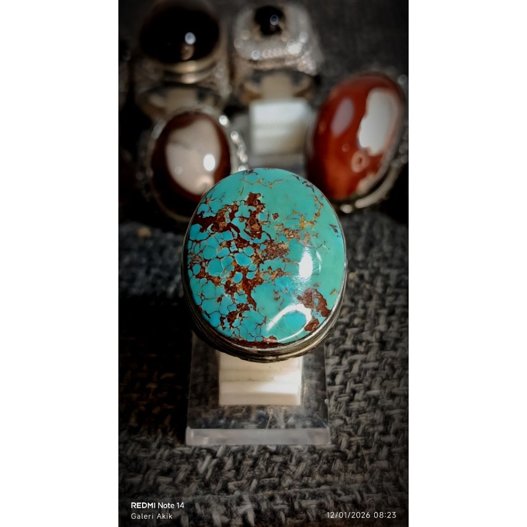 pirus persia tosca hijau jumbo