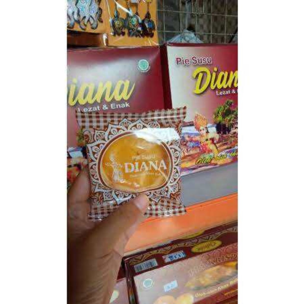 pie susu diana 1 karton