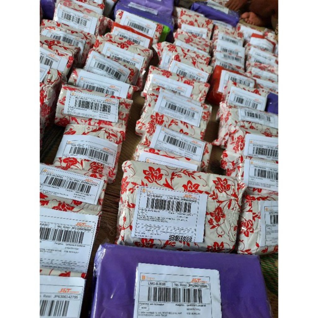 bibit bonggol keladi tengkorak silver