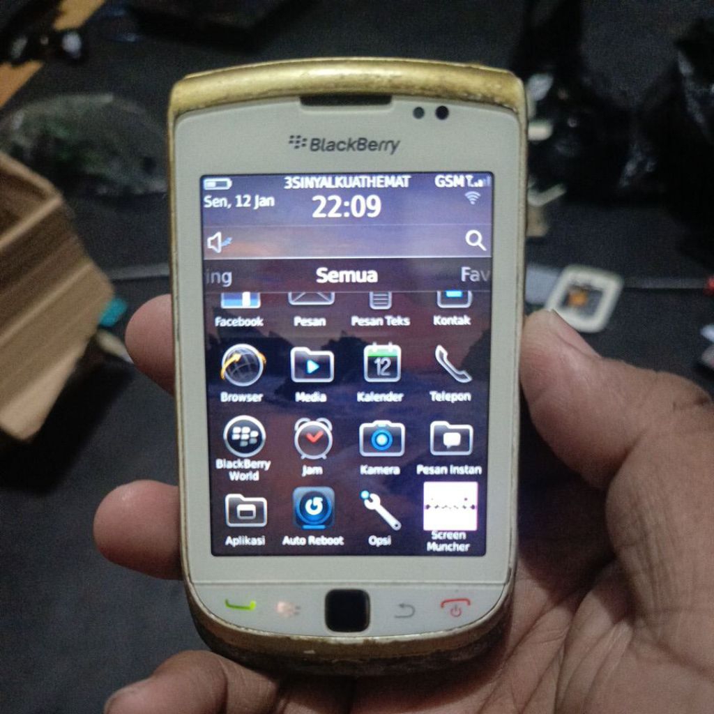 Blackberry 9800 torch1