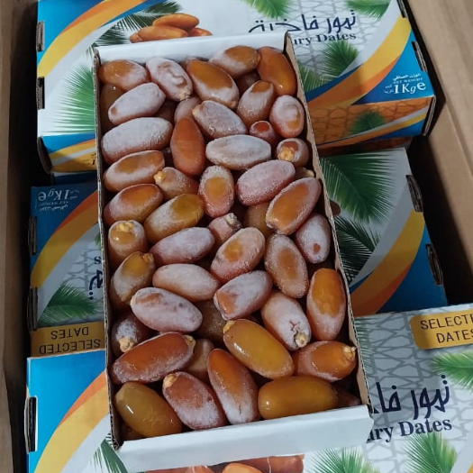 Kurma Ruthob | Libyan Selected Dates | Fresh | Kemasan 1 kg | HARAP BACA DESKRIPSI | Organik