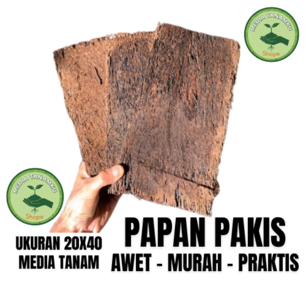 PROMO PAPAN PAKIS LEMPENG BESAR 20x40CM MEDIA TANAM TERAWET