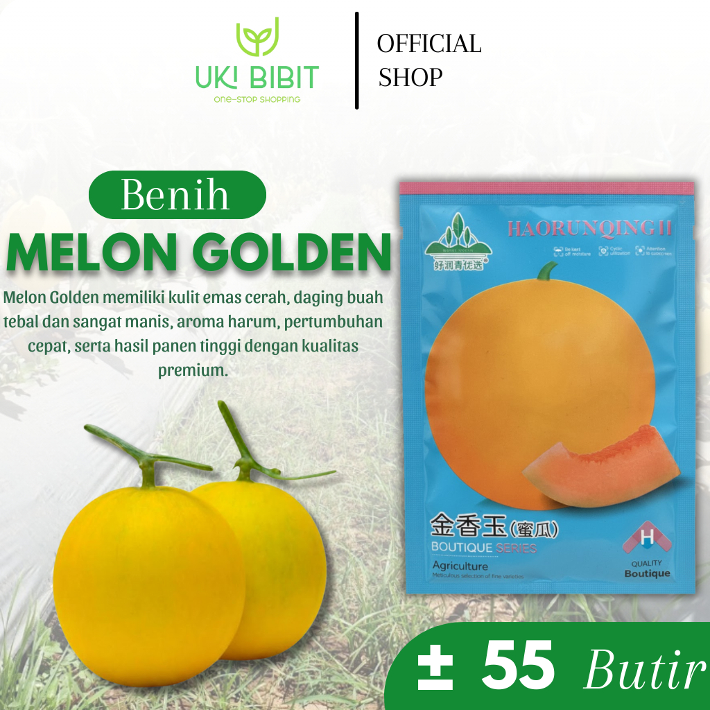 Kemasan Original | Benih Biji Melon Golden | Melon Emas | Melon Kuning
