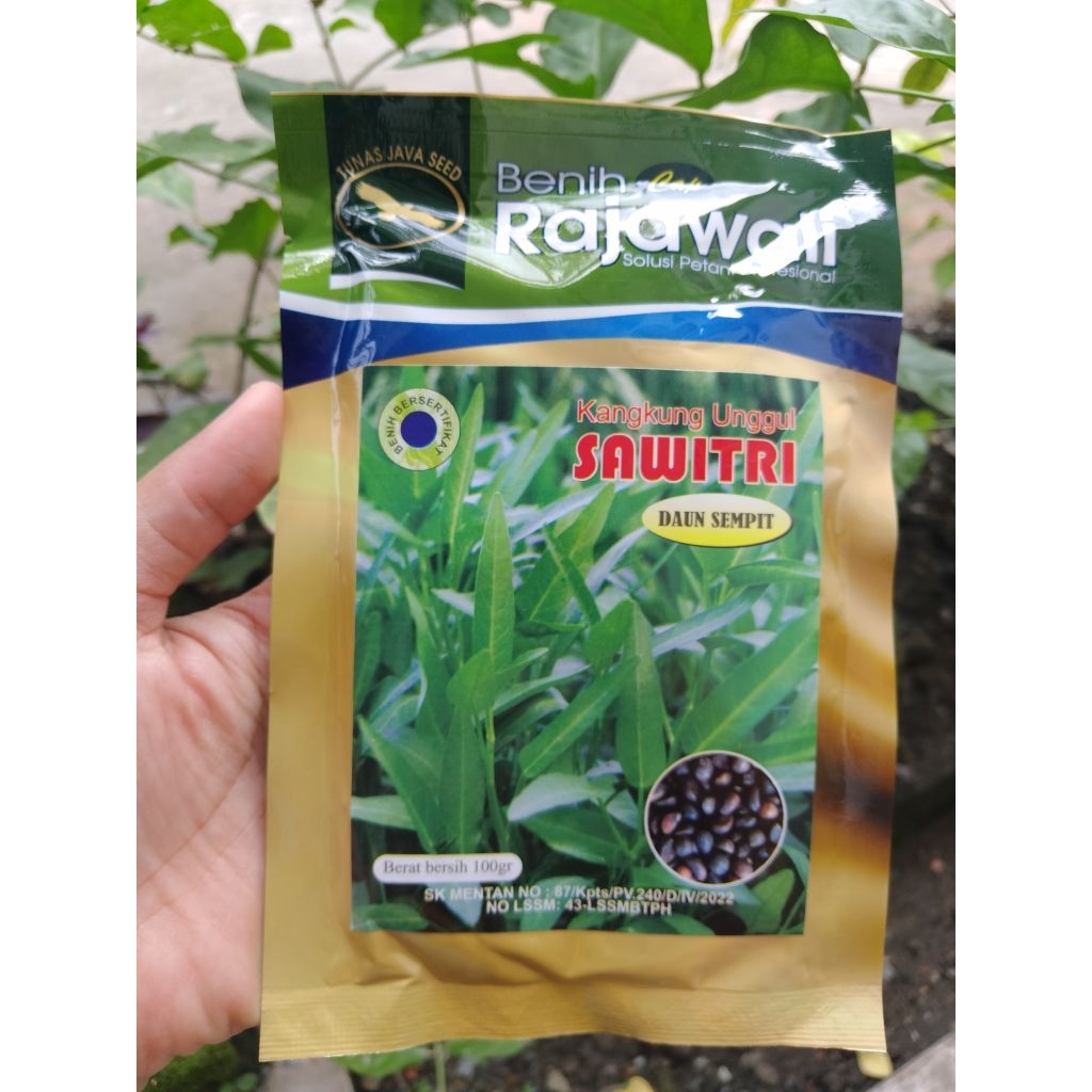 Benih kangkung Sawitri cap rajawali