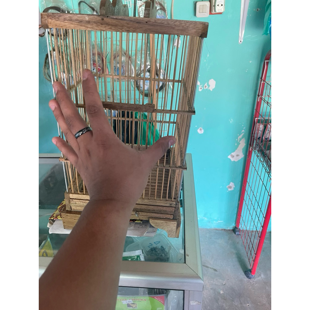 sangkar burcil tiang besi ruji rapat,kokoh,mbois tentunya
