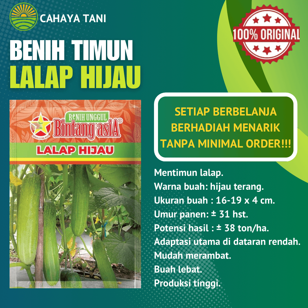 Benih Timun LALAP HIJAU 20gram Bintang Asia