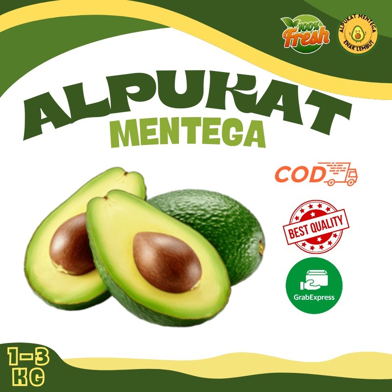 Alpukat Mentega  Premium  Dagingnya Tebal dan Lembut  Sangat Cocok Untuk Jus Smoothie Salad
