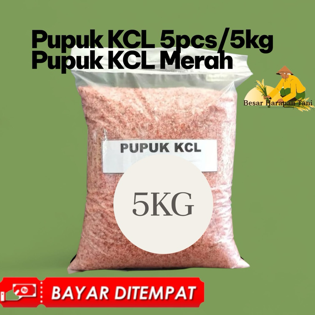 Murah/Diskon Pupuk KCL 5pcs/5kg Pupuk KCL Merah Bisa Bayar Di Tempat COD
