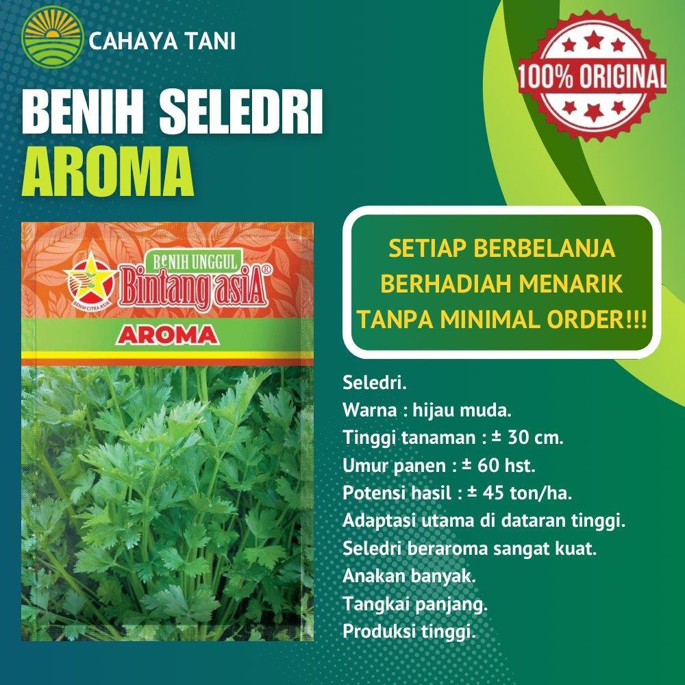 Benih Seledri AROMA 20gram Bintang Asia