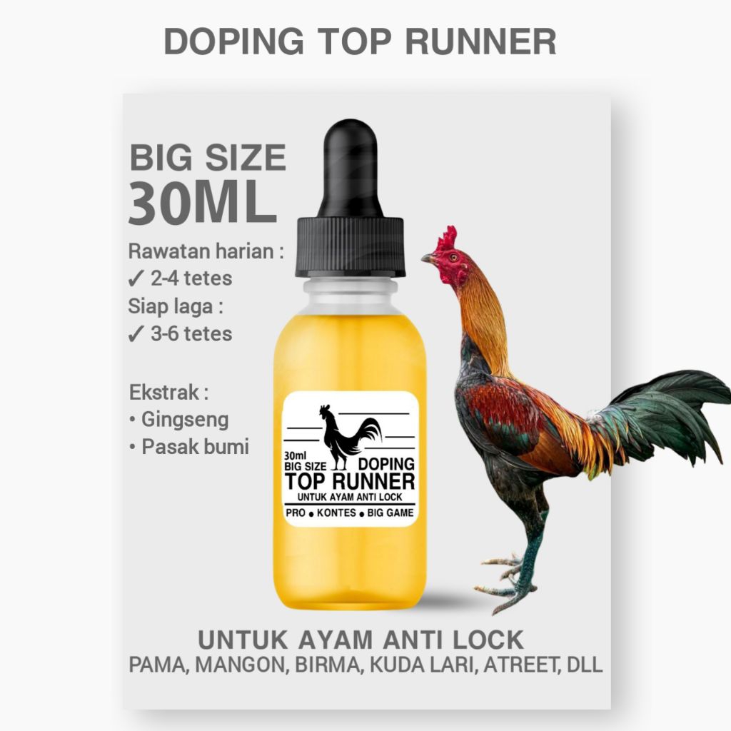 Doping peningkat stamina ayam kuda lari
