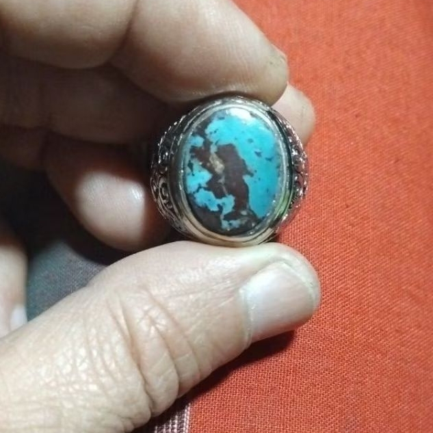 NATURAL PIRUS PERSIA lawasan