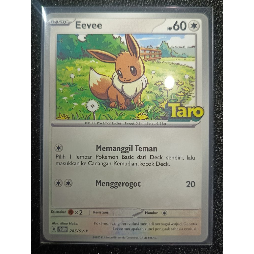 Pokemon X Taro - EEVEE