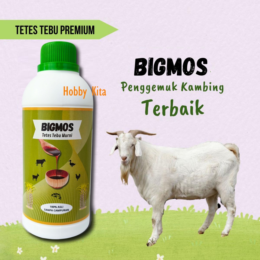 Penambah Nafsu Makan Kambing Domba BIGMOS Molase Tetes Tebu Terapi Penggemukan Sapi Kambing & Domba