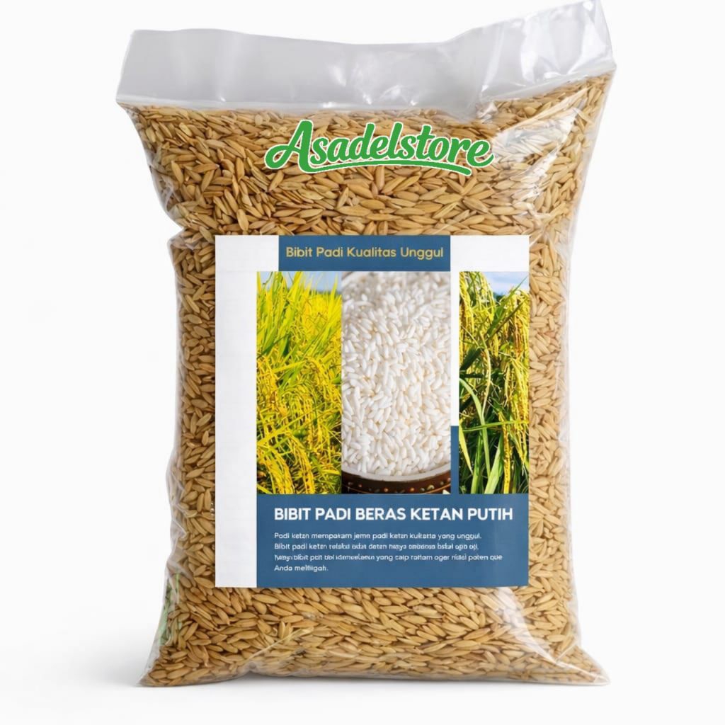 Benih Padi Ketan Putih Ketan Grendel Terbaik 1Kg
