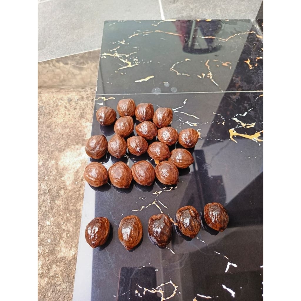 Muncang Adu Jalim CP X Douglass