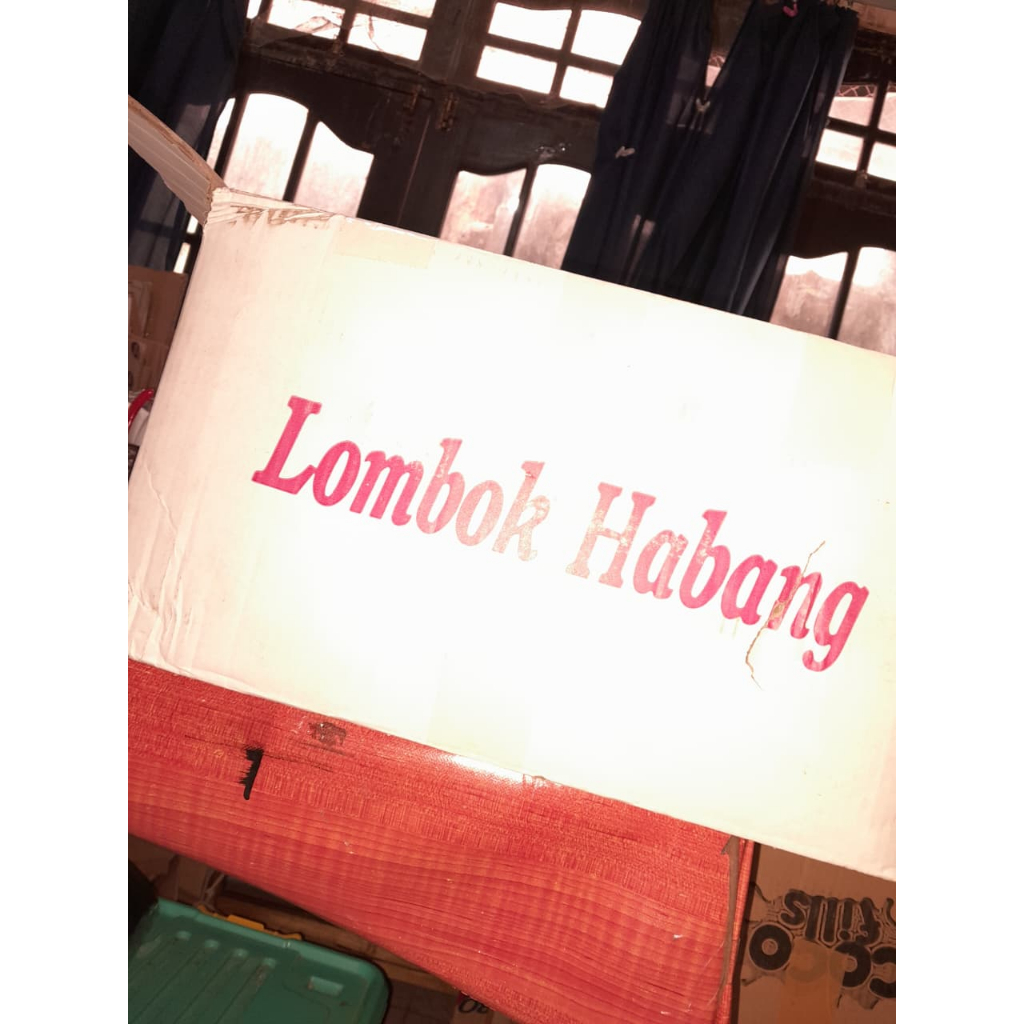 Lombok Besar Kering (10 Kg) / Lombok Ambulu / Lombok Habang / Dry Red Chili India / Cabe Kering Indi