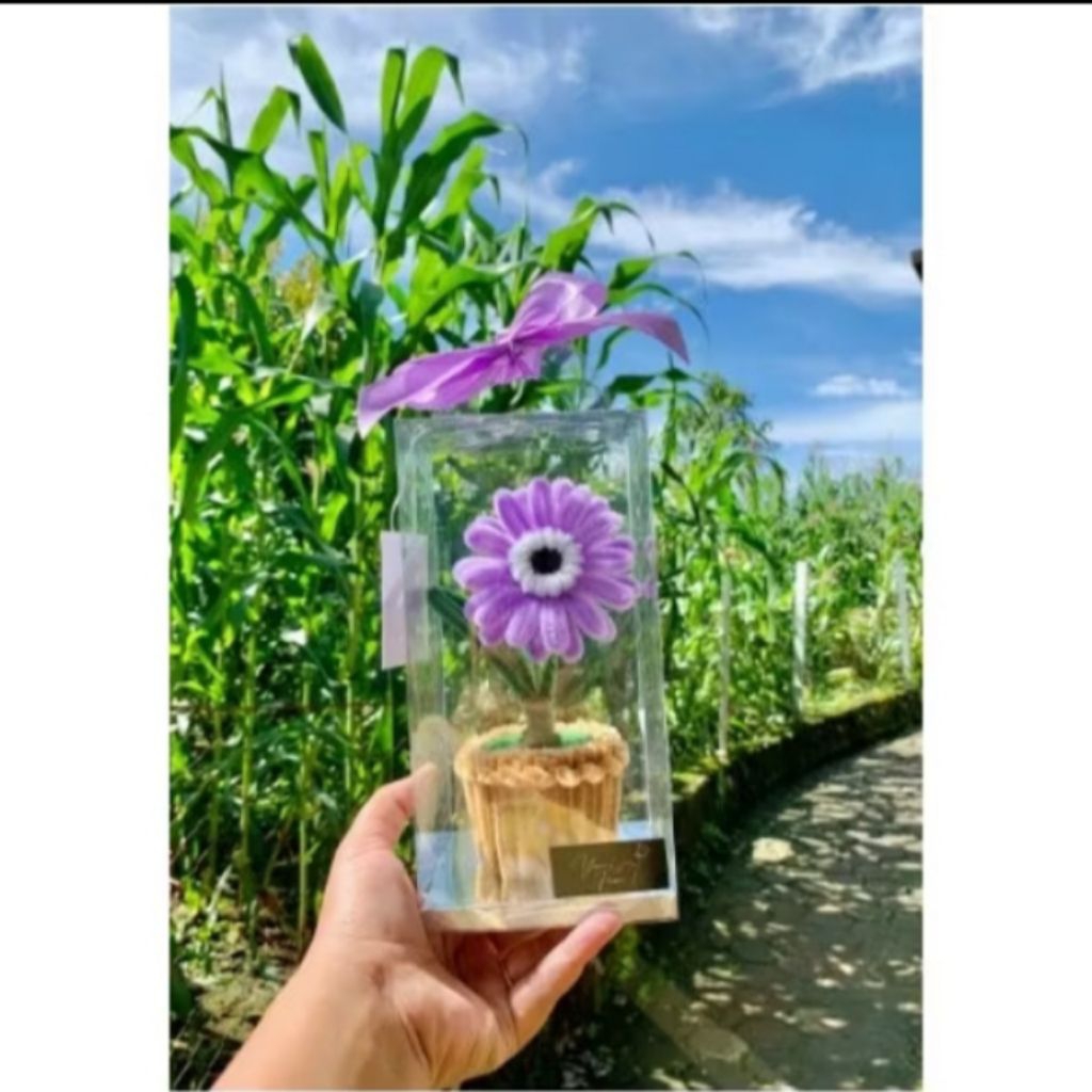 mika souvenir ukuran 8x8x15