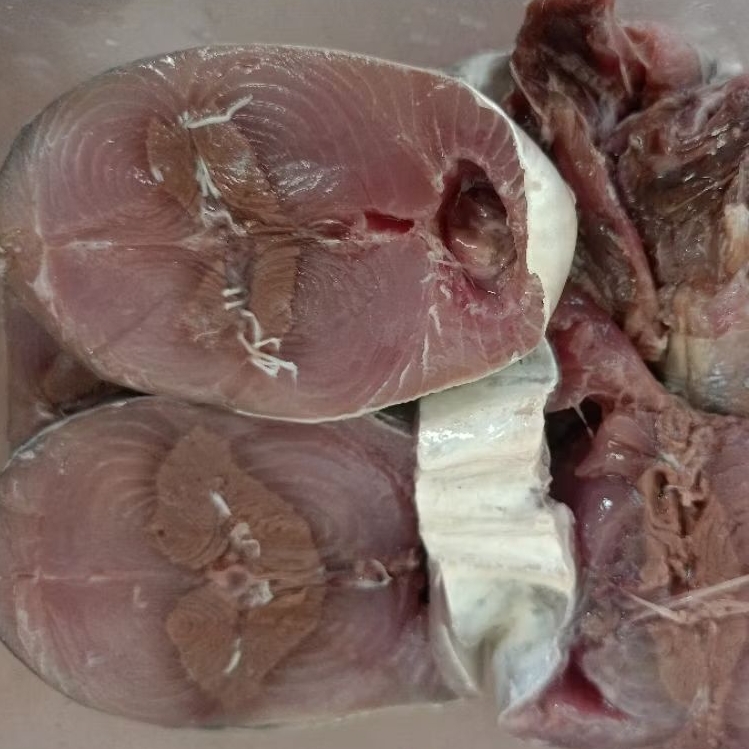 Ikan Tongkol Tuna Segar Potong satu ekor