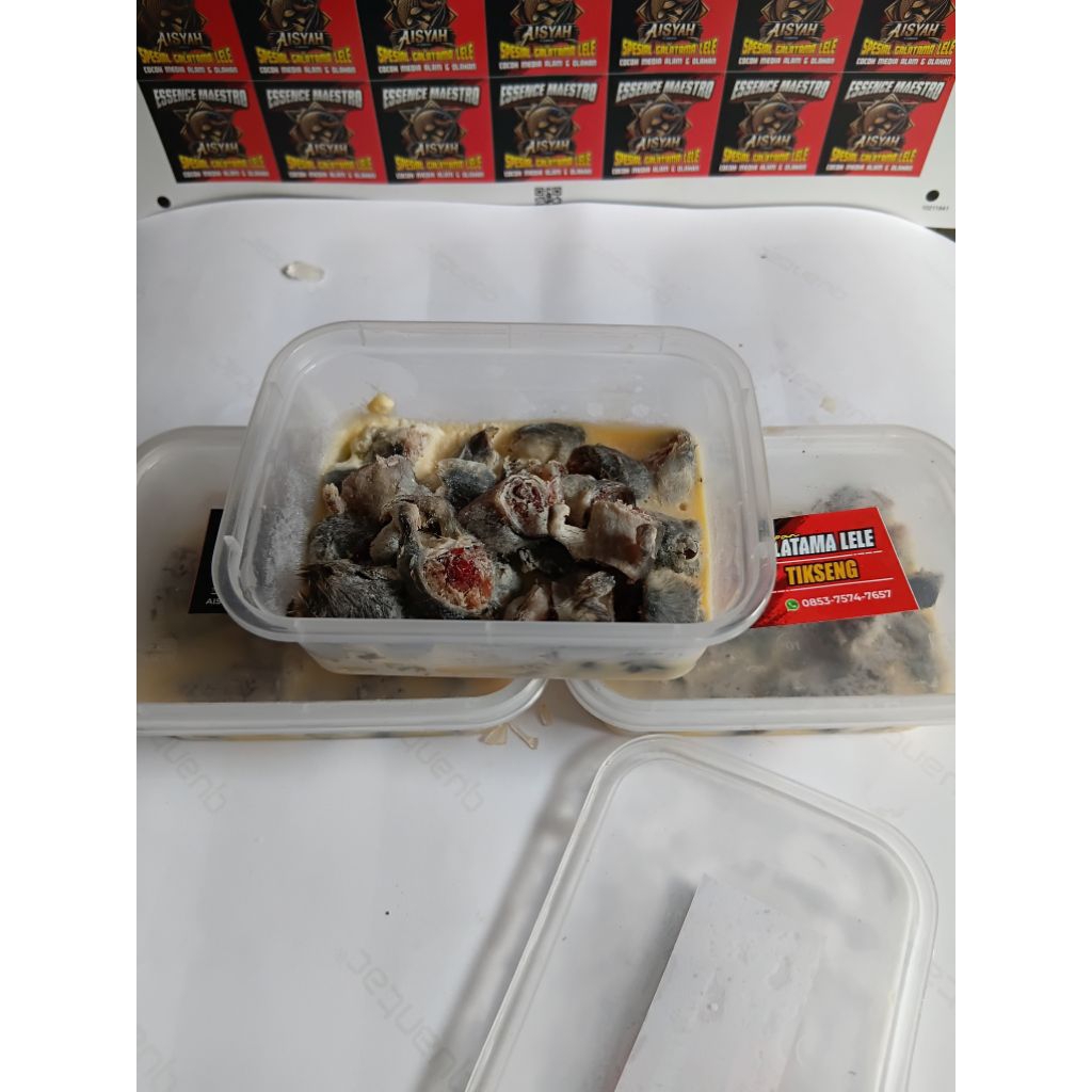 Tiseng Tikus Oseng umpan galatama lele 100gram essen