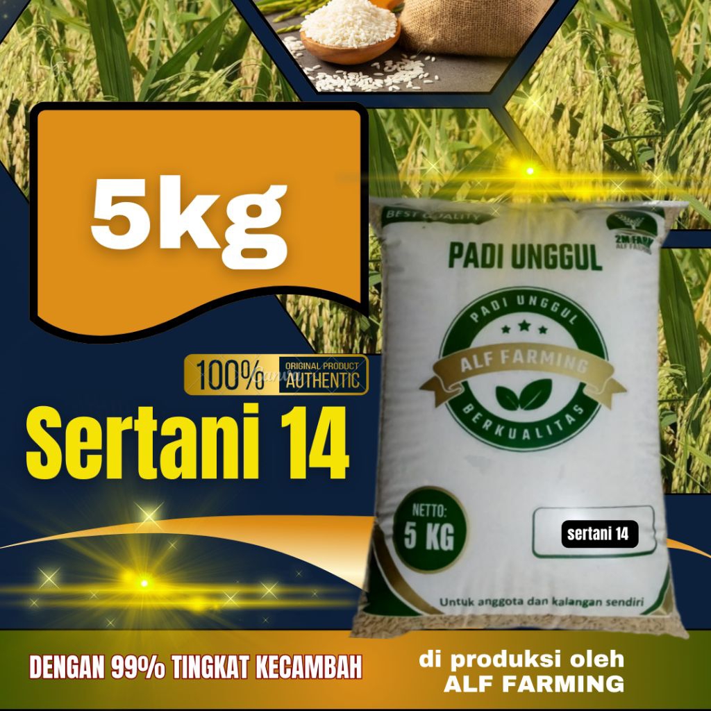 benih padi unggul berkualitas premium SERTANI 14