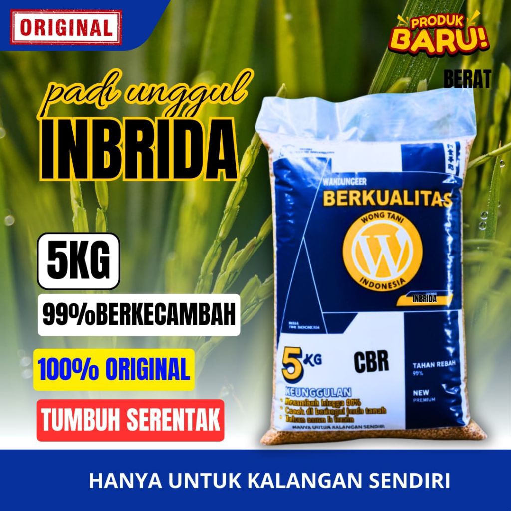 benih padi INBRIDA C2 benih padi super dalam kemasan 5k