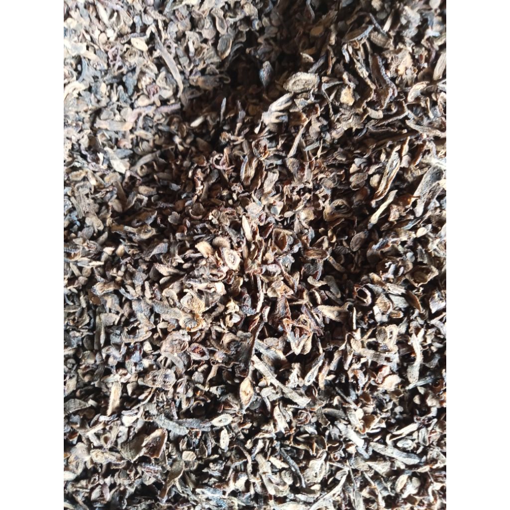 cengkeh manado murni timbunan 5 thn berat 504g kering.