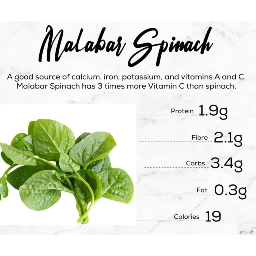 Bibit Bayam Malabar Jepang Kaya Manfaat untuk kesehatan