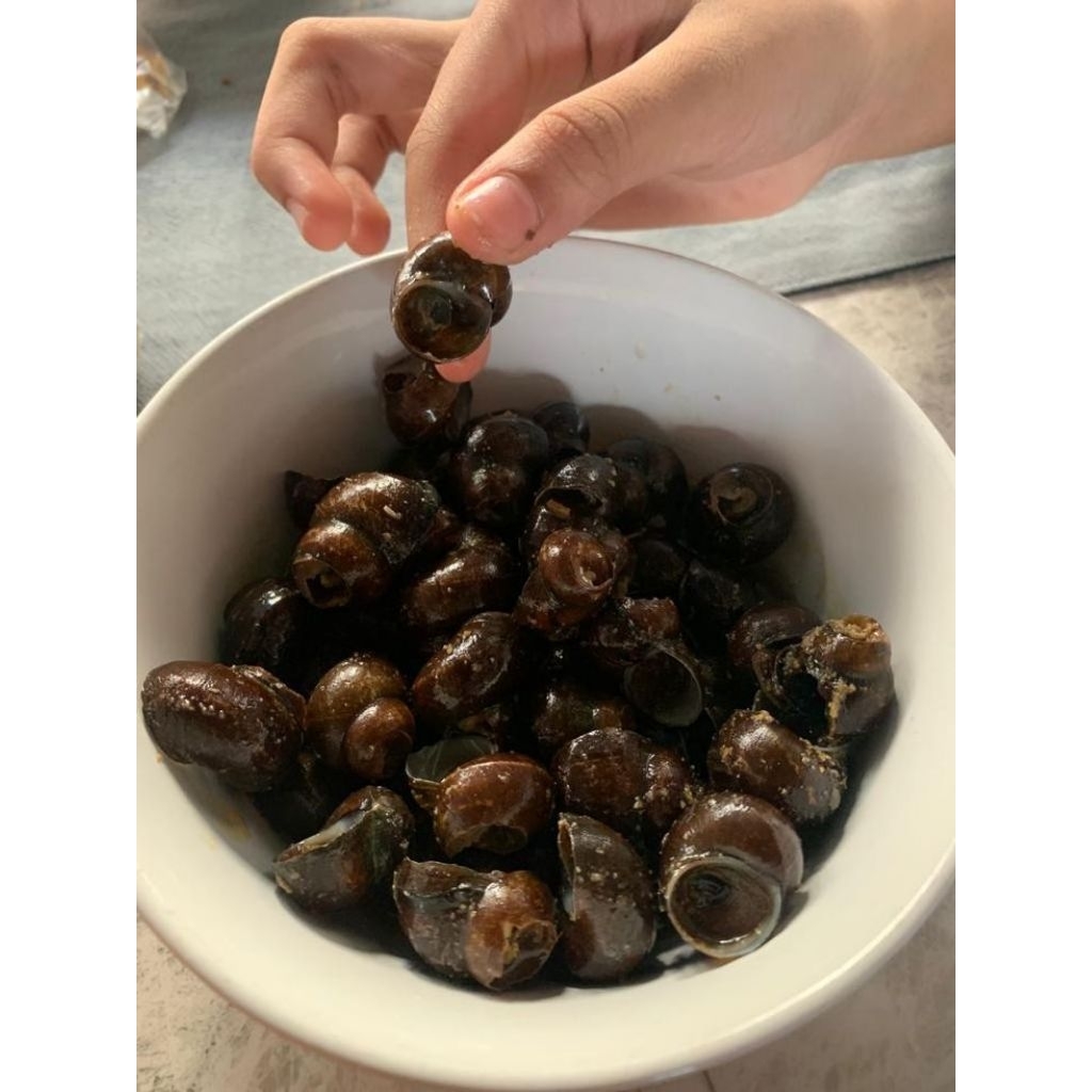 TUTUT MENTAH FRESH 1KG POTONG/TANPA POTONG