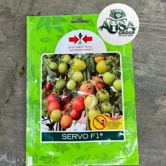 Terlaris BENIH TOMAT MERAH SERVO F1 150 BUTIR,BIBIT TOMAT UNGGULAN SERVO F1,CAP PANAH MERAH