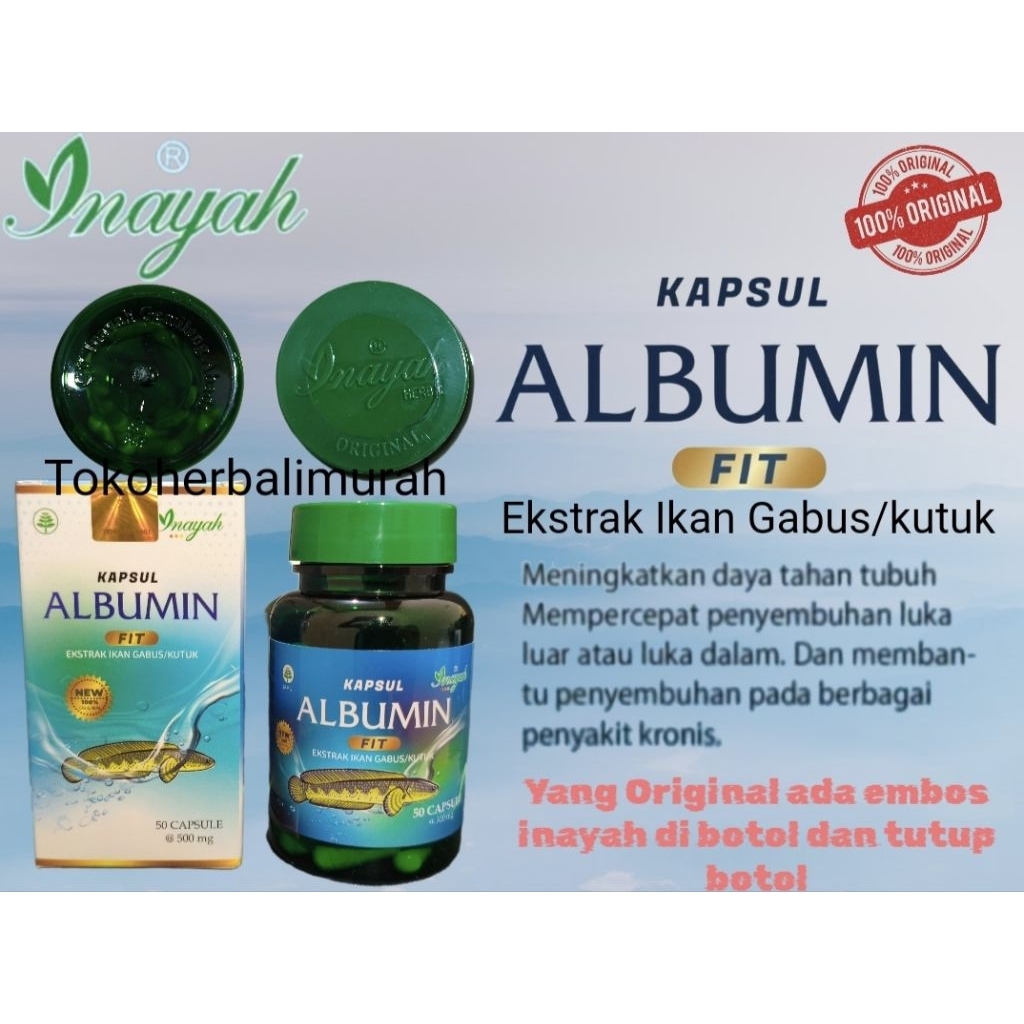 Albumin Fit Kapsu Ekstrak Ikan Gabus Pro Albumin Obat Pasca Operasi