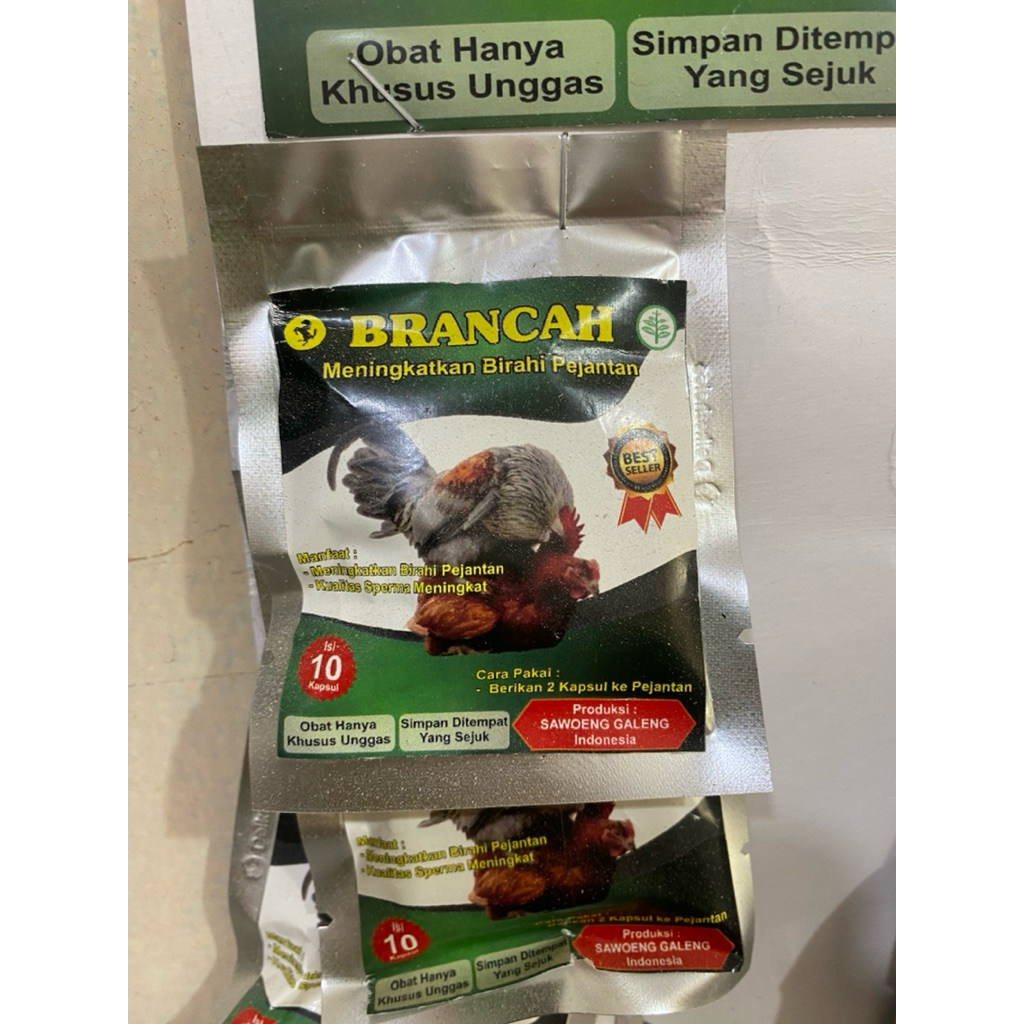 BRANCAH Penambah Birahi Ayam Jantan 10 Kapsul - Meningkatkan Birahi & Kualitas Sperma