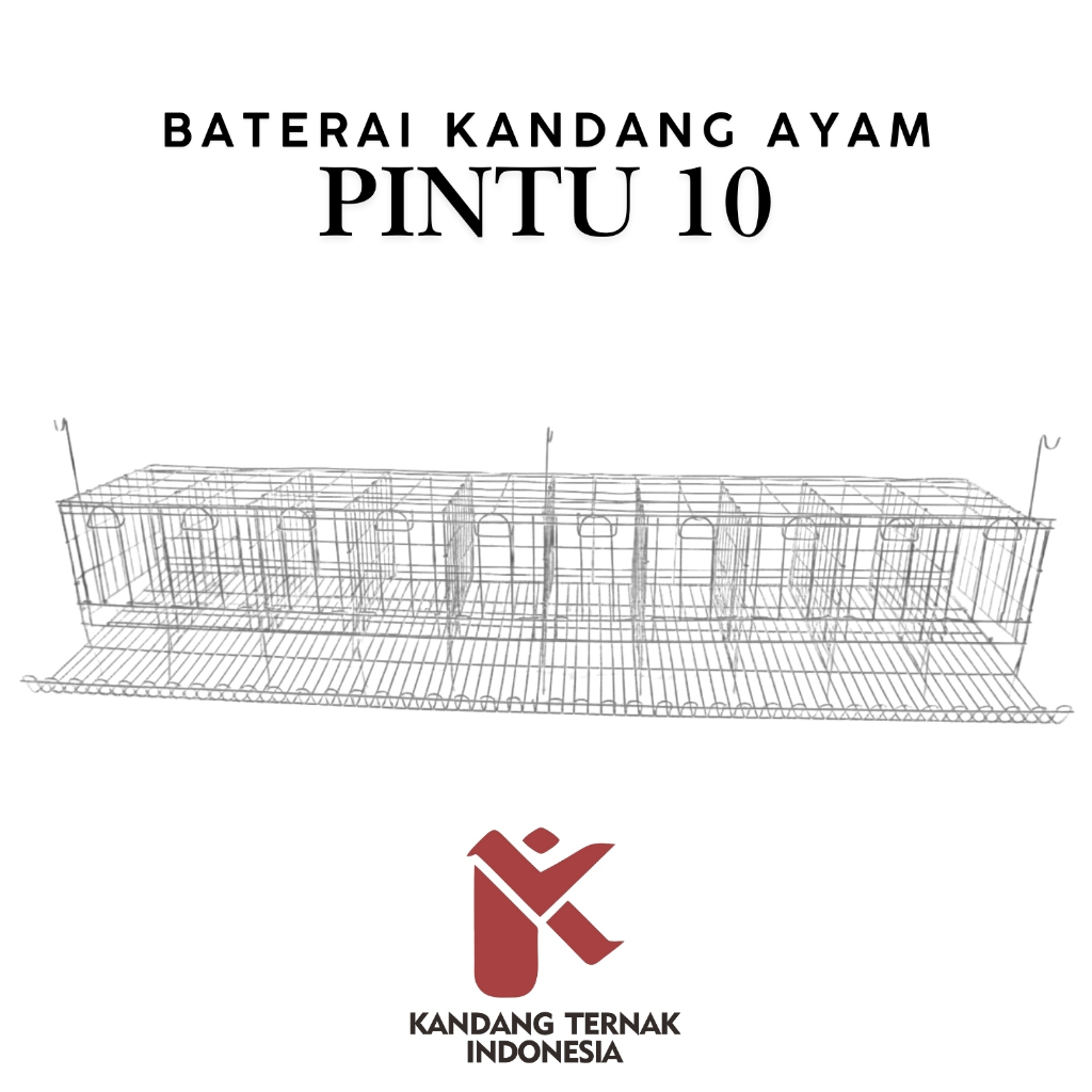 KANDANG AYAM PINTU 10 BATERAI PETELUR GALVANIS